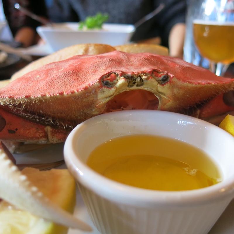 170402 Dungeness Crab