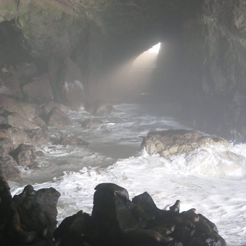 170402 Sea Lion Cave