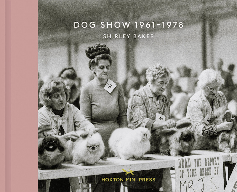 2018 11 16 Dog Show Shirley Baker Cover
